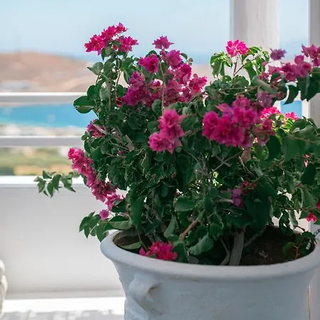 Apollo * Serifos Town
